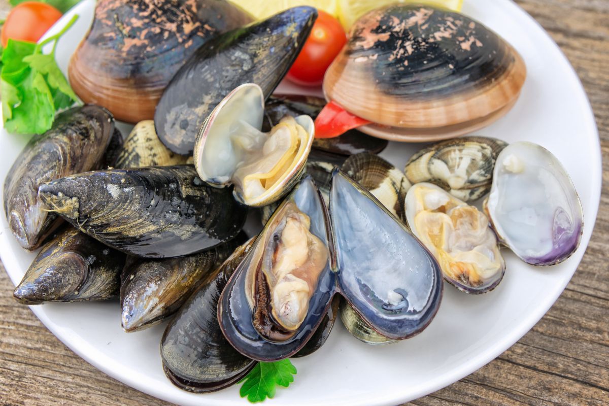 Un piatto colmo di molluschi come cozze, vongole e fasolari