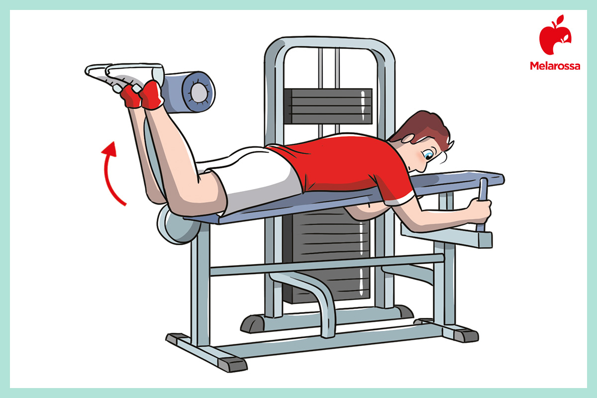 Ischiocrurali Anatomia Funzioni Esercizi Stretching
