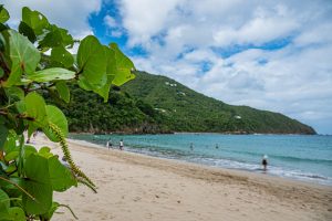 Alla scoperta dell’isola di Tortola e un assaggio della Repubblica Dominicana