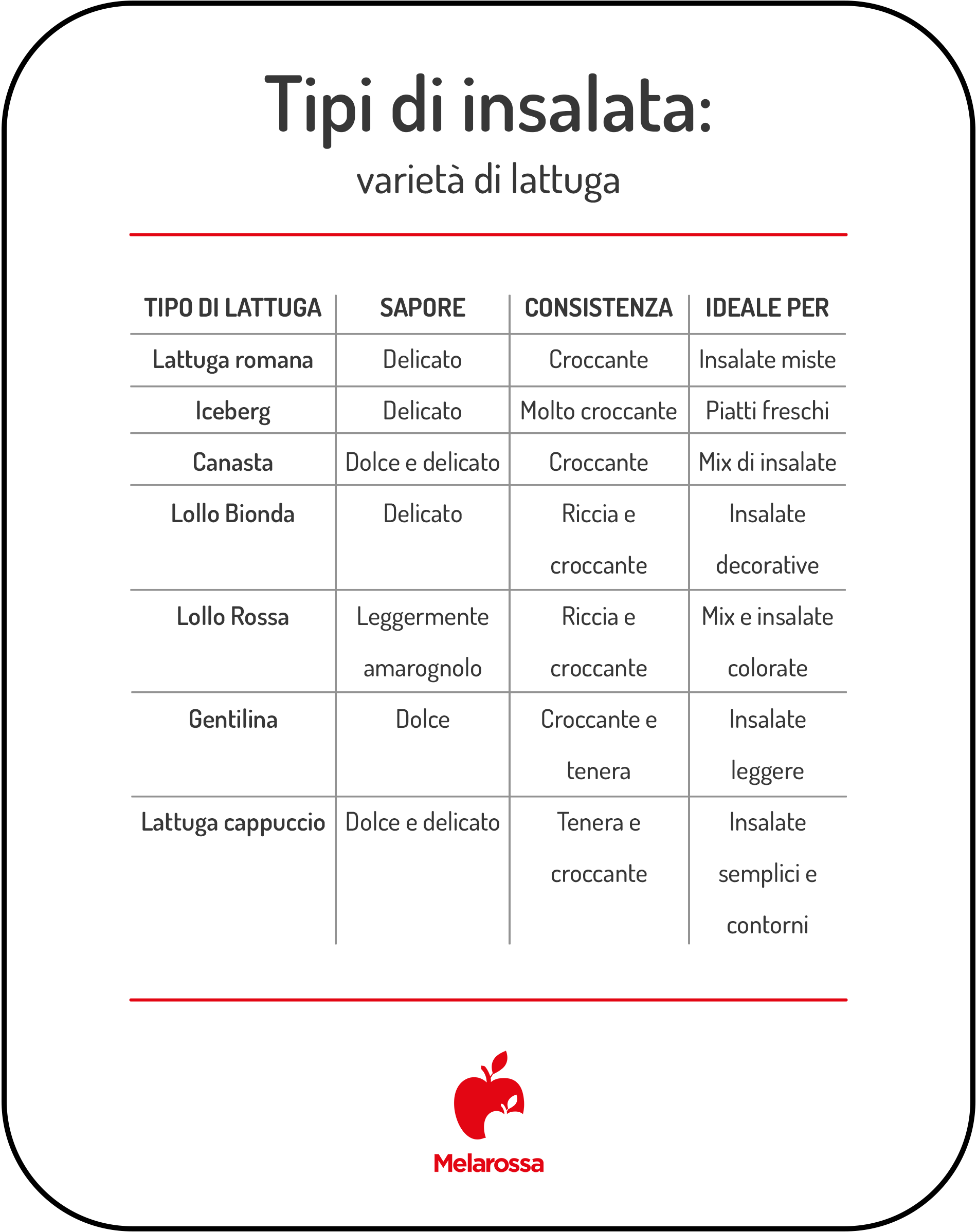 Tipi di insalata: varietà, proprietà e differenze 1 Infografica sui tipi di insalata e sulle varietà di lattuga, con sapore, croccantezza e usi in cucina di romana, iceberg, canasta, lollo, gentillina e cappuccio.