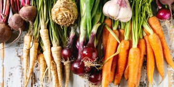 diverse radici commestibili come carote, patate e Topinambur