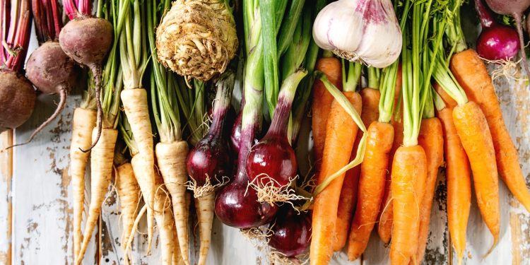diverse radici commestibili come carote, patate e Topinambur
