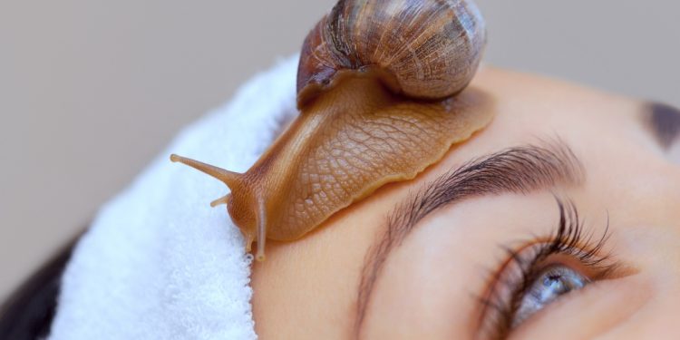 Primo piano di una donna con bellissimi occhi azzurri distesa con una fascia bianca per capelli e una lumaca sulla fronte