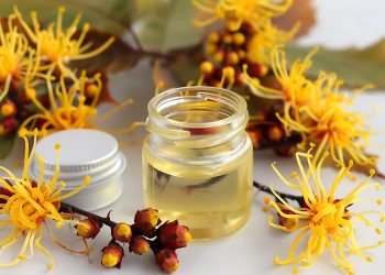 su tavolo bianco piante di hamamelis con al centro contenitore con acqua di hamamelis e il tappo
