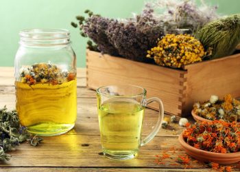su tavolo di legno, scatola di legno con erbe e piante, davanti un bicchiere grande e un bicchiere piccolo con tisane dimagranti pieni di erbe