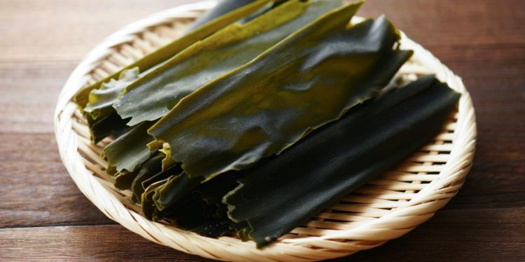 alga kombu su un piatto di vimini