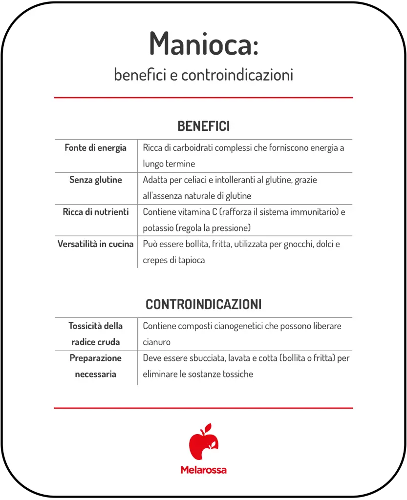 Manioca o Yuca: proprietà, benefici e come cucinarla 2 tabella grafica con elenco di benefici e controindicazioni della manioca