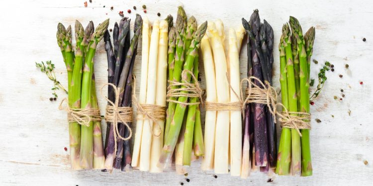 su sfondo bianco mazzi di asparagi bianchi, verdi e viola per illustrare come cucinare gli asparagi