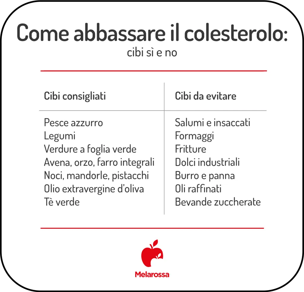 grafica sui cibi si e no per abbassare il colesterolo