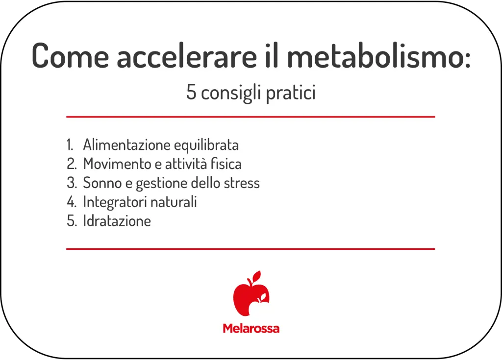 Come accelerare il metabolismo e perdere peso? 5 consigli pratici 1 grafica su come accelerare il metabolismo