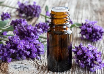 in primo piano una boccetta con olio essenziale di lavanda