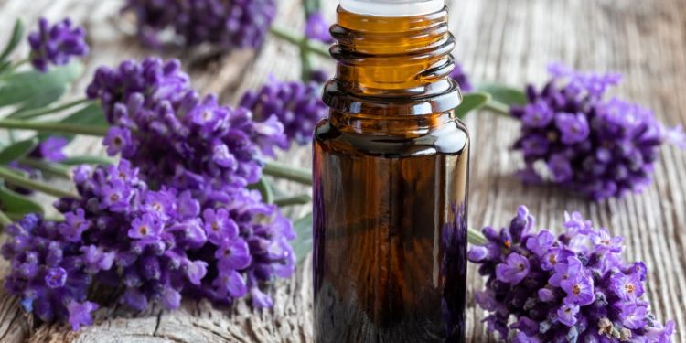 in primo piano una boccetta con olio essenziale di lavanda