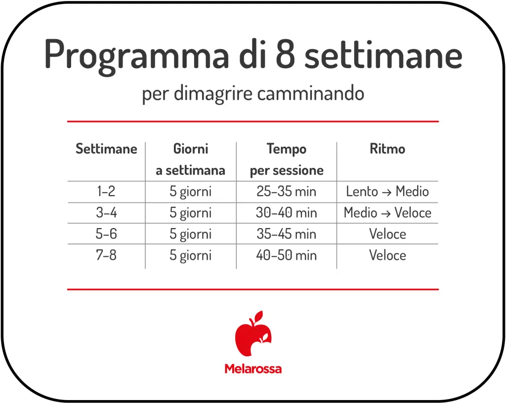 programma 8 settimane per dimagrire camminando