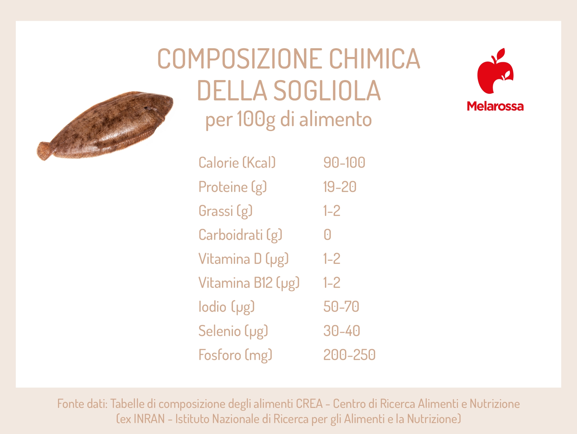 Sogliola: proprietà, benefici e le migliori ricette 1 sogliola composizione chimica