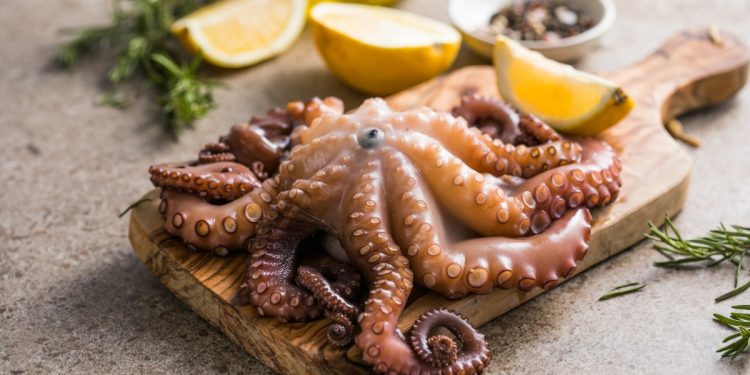 polpo in pentola a pressione: su tavolo tagliere con un polo in pentola a pressione, erbe aromatiche e limone tagliato, dietro una bottiglietta di olio EVO