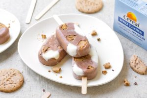 Gelato senza zuccheri aggiunti: ricetta fatta in casa