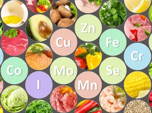 Oligoelementi: cosa sono, a cosa servono, elenco completo e  cibi ricchi