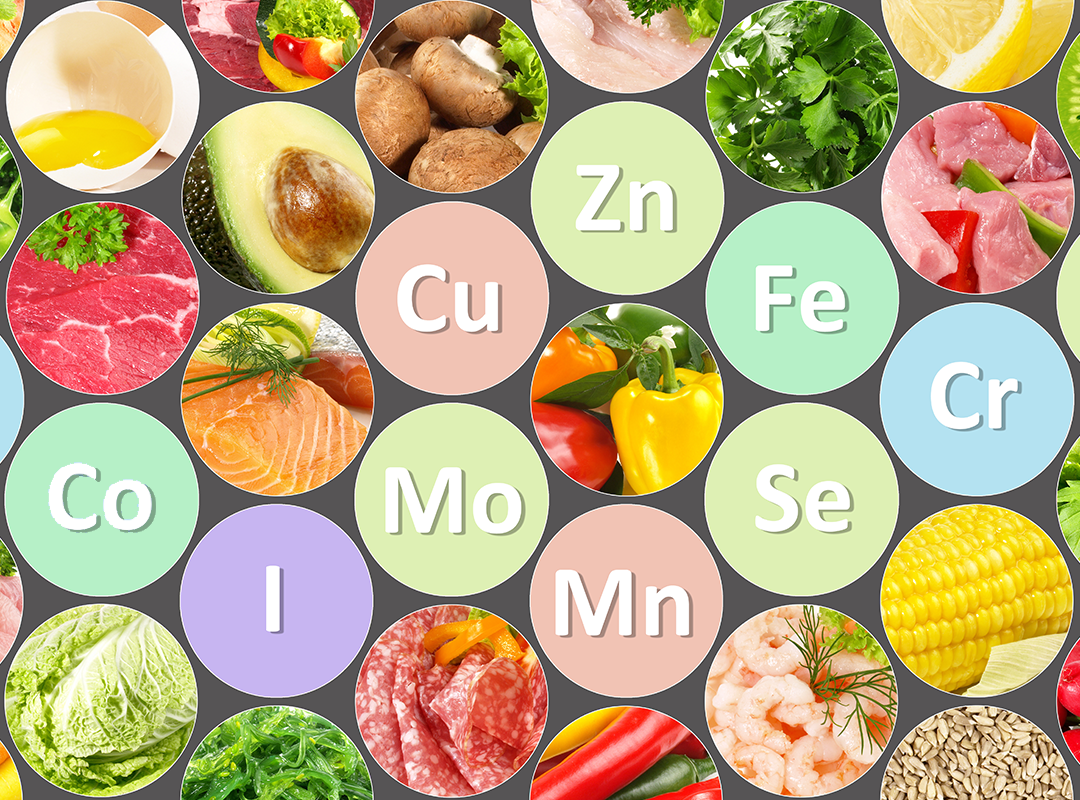 Oligoelementi essenziali come zinco, ferro, rame e selenio nei principali alimenti che li contengono.