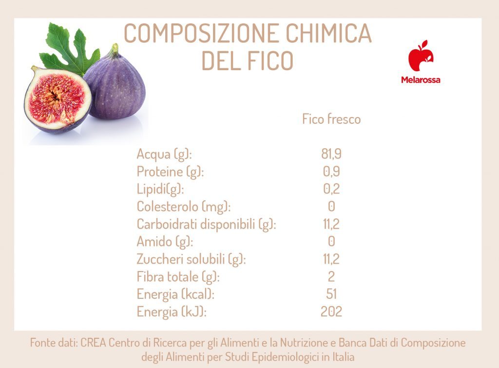 Fico: calorie, proprietà, a cosa fa bene 1 image