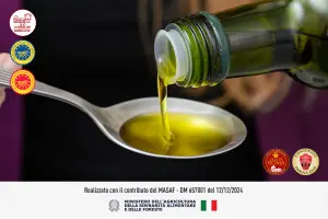 Acidi grassi dell’olio EVO: quali sono, a cosa servono e perché fanno bene