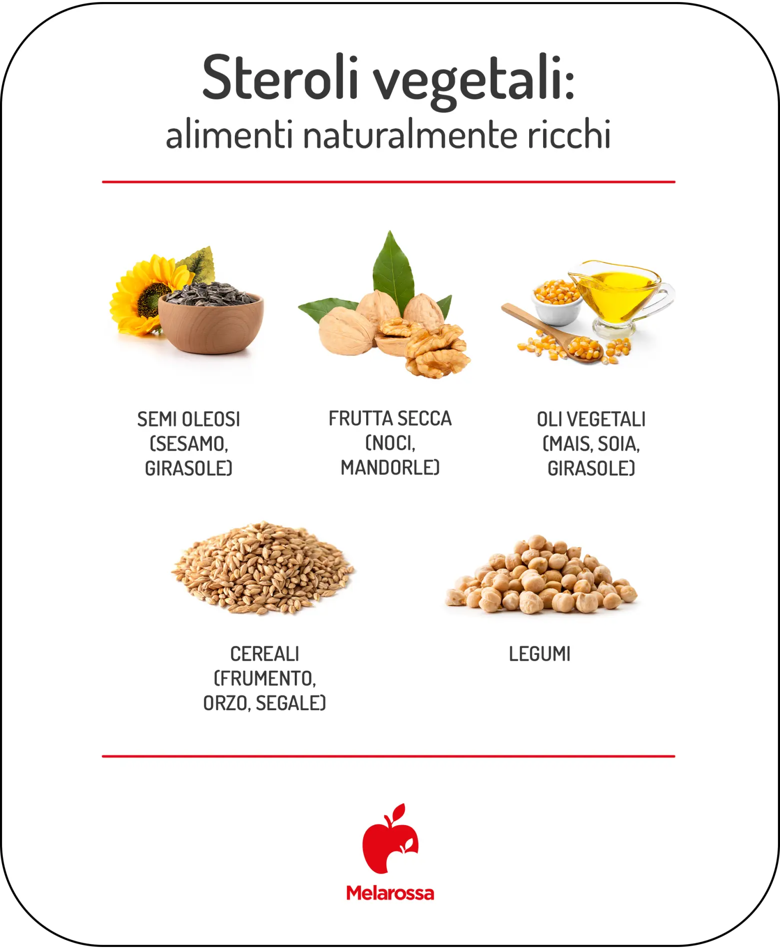 Steroli vegetali: benefici, alimenti che li contengono e controindicazioni 1 grafica con elenco degli alimenti ricchi di steroli vegetali con immagine e logo Melarossa