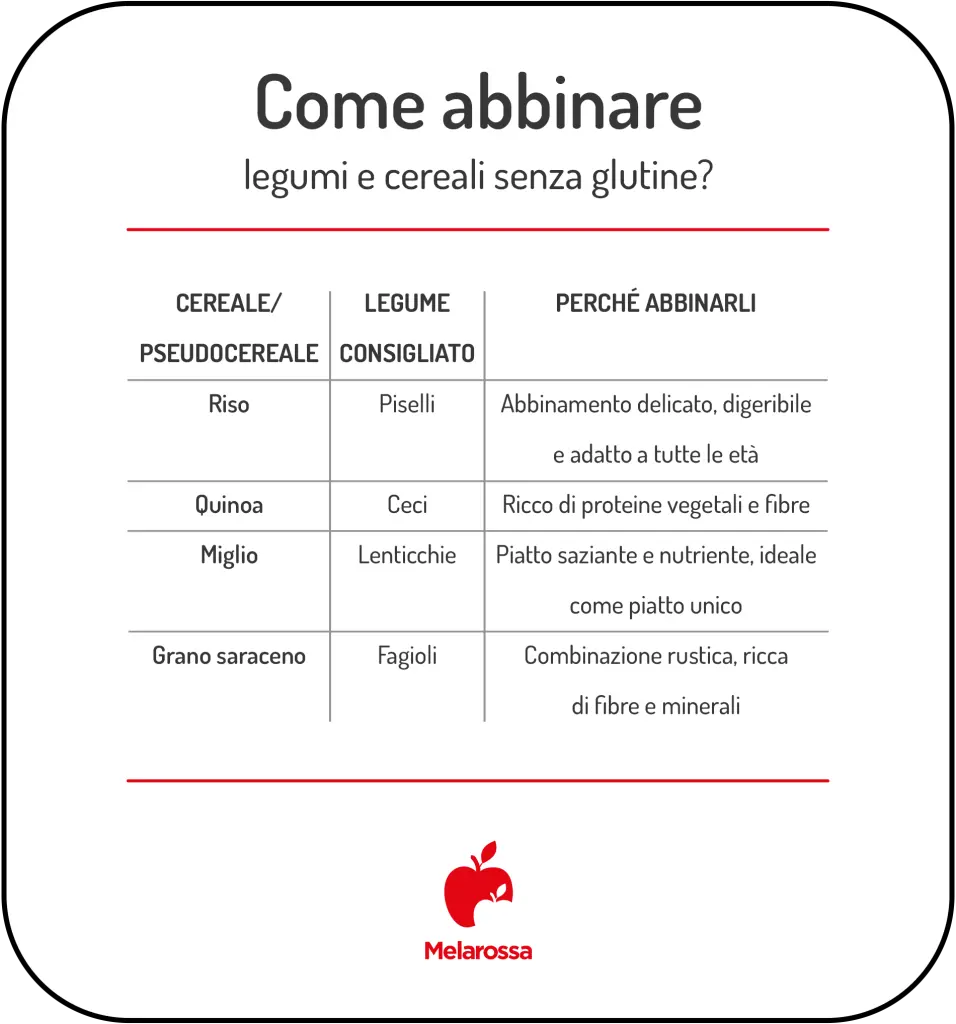 Legumi e cereali senza glutine: quali scegliere e come abbinarli 3 legumi e cereali senza glutine come abbinarli